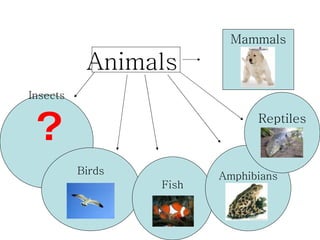 Mammals

           Animals
Insects


 ?                             Reptiles



          Birds          Amphibians
                  Fish
 