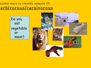 nother ways to classify animals (3)
herbivorous/carnivorous

       Do you
         eat
       vegetable
         or
         meat?
 