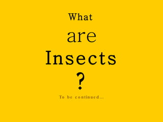 What

    are
Insects
         ?
 To b e c o n tin ue d …
 