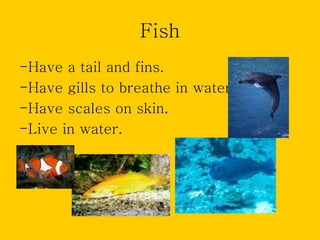 Fish
-Have a tail and fins.
-Have gills to breathe in water.
-Have scales on skin.
-Live in water.
 