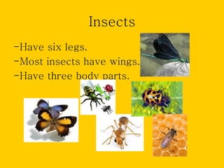 Insects
-Have six legs.
-Most insects have wings.
-Have three body parts.
 