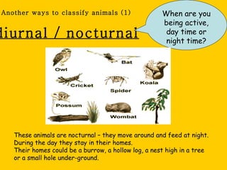 Another ways to classify animals (1)                 When are you
                                                     being active,
diurnal / nocturnal                                   day time or
                                                      night time?




   These animals are nocturnal – they move around and feed at night.
   During the day they stay in their homes.
   Their homes could be a burrow, a hollow log, a nest high in a tree
   or a small hole under-ground.
 