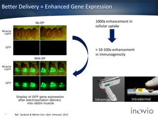 Better Delivery = Enhanced Gene Expression
1000x enhancement in
cellular uptake

> 10-100x enhancement
in immunogenicity

Intramuscular

10

Ref: Sardesai & Weiner Curr. Opin. Immunol. 2011

Intradermal

 