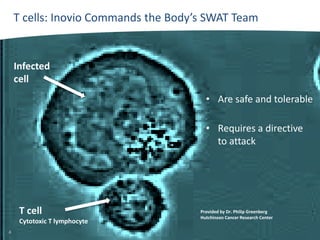 T cells: Inovio Commands the Body’s SWAT Team

Infected
cell
• Are safe and tolerable
• Requires a directive
to attack

T cell

Cytotoxic T lymphocyte
4

Provided by Dr. Philip Greenberg
Hutchinson Cancer Research Center

 