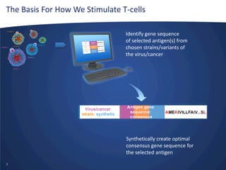 The Basis For How We Stimulate T-cells
Antigen Y

Antigen Y

Antigen Y

Strain 2

Strain X

Identify gene sequence
of selected antigen(s) from
chosen strains/variants of
the virus/cancer

Strain 1

Synthetically create optimal
consensus gene sequence for
the selected antigen
7

 