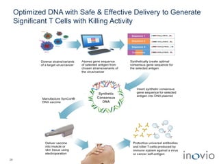 Optimized DNA with Safe & Effective Delivery to Generate
Significant T Cells with Killing Activity
28
Synthetic
Consensus
DNA
Protective universal antibodies
and killer T-cells produced by
immune system against a virus
or cancer self-antigen
 