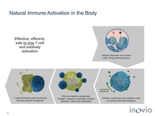Natural Immune Activation in the Body
31
T cells eliminate cells displaying
disease-specific antigen(s)
Immune system recognizes
“foreign” antigens; activates antigen-
specific T cells and antibodies
Effective, efficient,
safe in vivo T cell
and antibody
activation
Cellular machinery uses genetic code
to produce disease antigens
ANTIGENIC
PROTEINS
Deliver plasmids into human
cells using electroporation
 