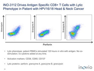 Perforin
Granulysin
GranzymeA
GranzymeB
• Lytic phenotype: patient PBMCs stimulated 120 hours in vitro with antigen. No co-
stimulation; no cytokine added at any time.
• Activation markers: CD38, CD69, CD137
• Lytic proteins: perforin, granzyme A, granzyme B, granulysin
INO-3112 Drives Antigen Specific CD8+ T Cells with Lytic
Phenotype in Patient with HPV16/18 Head & Neck Cancer
35
 