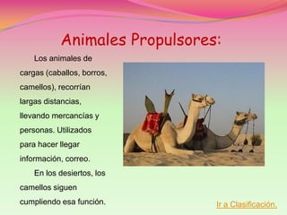 Animales Propulsores:
    Los animales de
cargas (caballos, borros,
camellos), recorrían
largas distancias,
llevando mercancías y
personas. Utilizados
para hacer llegar
información, correo.
    En los desiertos, los
camellos siguen
cumpliendo esa función.        Ir a Clasificación.
 