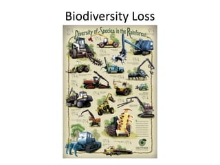 Biodiversity Loss
 