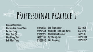 Professional Practice 1 Presentation Slides | PDF