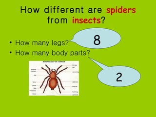 How different are spiders
      from insects?

• How many legs?         8
• How many body parts?


                             2
 