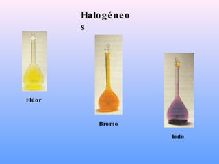 Halogéneos Flúor Bromo Iodo 