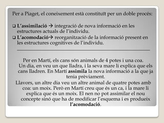 Per a Piaget, el coneixement està constituït per un doble procés:

 L’assimilació   integració de nova informació en les
  estructures actuals de l’individu.
 L’acomodació reorganització de la informació present en
  les estructures cognitives de l’individu.
  _____________________________________________________

    Per en Martí, els cans són animals de 4 potes i una coa.
  Un dia, en veu un que lladra, i la seva mare li explica que els
  cans lladren. En Martí assimila la nova informació a la que ja
                         tenia prèviament.
 Llavors, un altre dia veu un altre animal de quatre potes amb
    coa: un moix. Però en Martí creu que és un ca, i la mare li
      explica que és un moix. El nen no pot assimilar el nou
   concepte sinó que ha de modificar l’esquema i es produeix
                           l’acomodació.
 