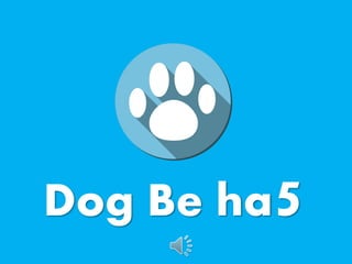 Dog Be ha5
 