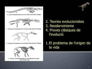 22. Teoriesevolucionistes3.Neodarwinisme4. Provesclàsiques de l’evolucióEl problema de l’origende la vida