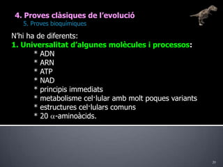 204. Proves clàsiques de l’evolució	5. Proves bioquímiquesN’hi ha de diferents:1. Universalitat d’algunes molècules i processos:	* ADN	* ARN	* ATP	* NAD	* principis immediats	* metabolisme cel·lular amb molt poques variants	* estructures cel·lulars comuns	* 20 a-aminoàcids.