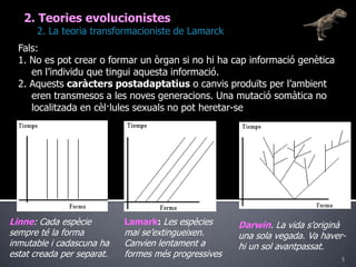 52. Teories evolucionistes	2. La teoria transformacioniste de LamarckFals: 1. No es pot crear o formar un òrgan si no hi ha cap informació genètica en l’individu que tingui aquesta informació.2. Aquests caràcters postadaptatius o canvis produïts per l’ambient eren transmesos a les noves generacions. Una mutació somàtica no localitzada en cèl·lules sexuals no pot heretar-seLamark: Les espèciesmaise’extingueixen. Canvienlentament a formes mésprogressivesLinne: Cada espèciesempre té la forma inmutable i cadascuna ha estat creada per separat.Darwin. La vida s’originà una sola vegada. Va haver-hi un sol avantpassat. 