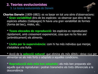 72. Teories evolucionistes	3. La teoria evolucionista de DarwinCharles Darwin (1809-1882): es va basar en tot una sèrie d’observacions:	* Gran variabilitat dins de les espècies: va observar que dins de les espècies aïllades (Galàpagos) hi havia una gran variabilitat de formes (forma del bec), mides, etc.	* Taxes elevades de reproducció: les espècies es reprodueixen ràpidament, amb creixement exponencial, cosa que no ho feia així (aritmèticament) els aliments.	* Lluita per la supervivència: com hi ha més individus que menjar, s’estableix una lluita.	* Acció de la selecció natural: que elimina els més dèbils i deixa vius per alimentar-se als més forts o adaptats a aquelles condicions.	* Reproducció dels més ben adaptats: els més ben preparats són aquells que es reproduiran i podran transmetre els trets diferencials a la descendència 