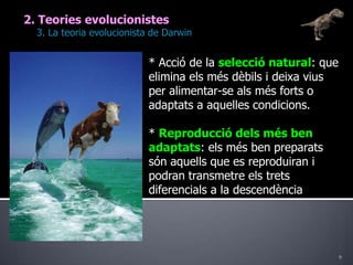 92. Teories evolucionistes	3. La teoria evolucionista de Darwin* Acció de la selecció natural: que elimina els més dèbils i deixa vius per alimentar-se als més forts o adaptats a aquelles condicions.* Reproducció dels més ben adaptats: els més ben preparats són aquells que es reproduiran i podran transmetre els trets diferencials a la descendència 