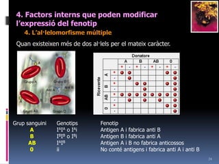 224. Factorsinterns que poden modificar l’expressiódel fenotip2. Les interaccionsgenètiquesb) Amb Dominància d’un parell (epistàsia) sobre un altre (hipostàsia): Cas albinisme: quan és albí aa és igual com siguin els altres gens de coloració que sempre serà albí