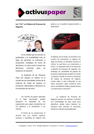 Auditoría de procesos de negocio | PDF
