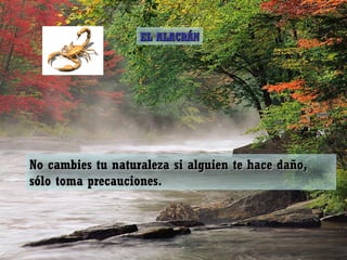 No cambies tu naturaleza si alguien te hace daño,No cambies tu naturaleza si alguien te hace daño,
sólo toma precauciones.sólo toma precauciones.
EL ALACRÁNEL ALACRÁN
 