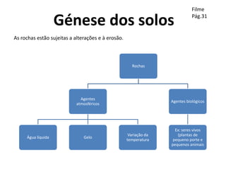 Génese dos solos
Filme
Pág.31
As rochas estão sujeitas a alterações e à erosão.
Rochas
Agentes
atmosféricos
Água líquida Gelo
Variação da
temperatura
Agentes biológicos
Ex: seres vivos
(plantas de
pequeno porte e
pequenos animais
 