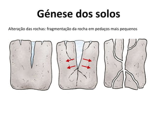 Génese dos solos
Alteração das rochas: fragmentação da rocha em pedaços mais pequenos
 