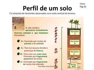 Perfil de um solo
É o conjunto de horizontes observados num corte vertical do terreno.
Filme
Pág.32
 