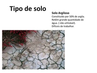 Solo Argiloso
Constituído por 50% de argila.
Retêm grande quantidade de
água. ( não utilizável).
Difíceis de trabalhar.
Tipo de solo
 