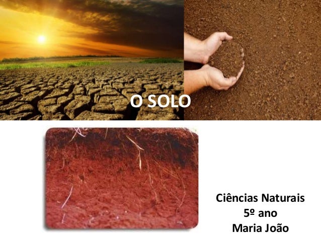 O SOLO
Ciências Naturais
5º ano
Maria João
 