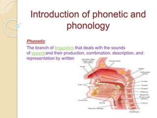 Introduction of phonetic and
phonology
Phonetic
The branch of linguistics that deals with the sounds
of speechand their production, combination, description, and
representation by written symbols
 
