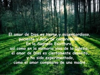 El amor de Dios es tierno y misericordioso,
paciente y lleno de comprensión.
En la Sagrada Escritura,
así como en la memoria viva de la Iglesia,
el amor de Dios es ciertamente descrito,
y ha sido experimentado,
como el amor compasivo de una madre.
 