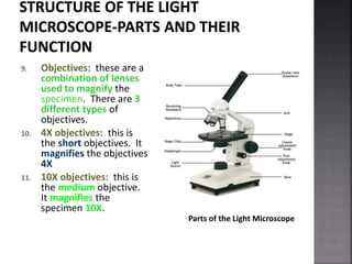 PP3_History_of_microscopy_1453876435.ppt