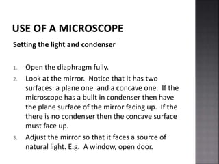 PP3_History_of_microscopy_1453876435.ppt