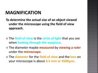 Viewing Ruler Under Microscope PP3_History_of_microscopy_1453876435.ppt
