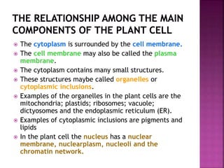  The cytoplasm is surrounded by the cell membrane.
 The cell membrane may also be called the plasma
membrane.
 The cytoplasm contains many small structures.
 These structures maybe called organelles or
cytoplasmic inclusions.
 Examples of the organelles in the plant cells are the
mitochondria; plastids; ribosomes; vacuole;
dictyosomes and the endoplasmic reticulum (ER).
 Examples of cytoplasmic inclusions are pigments and
lipids
 In the plant cell the nucleus has a nuclear
membrane, nuclearplasm, nucleoli and the
chromatin network.
 
