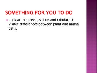  Look at the previous slide and tabulate 4
visible differences between plant and animal
cells.
 