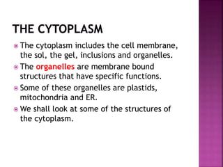  The cytoplasm includes the cell membrane,
the sol, the gel, inclusions and organelles.
 The organelles are membrane bound
structures that have specific functions.
 Some of these organelles are plastids,
mitochondria and ER.
 We shall look at some of the structures of
the cytoplasm.
 
