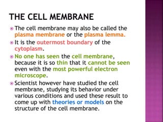  The cell membrane may also be called the
plasma membrane or the plasma lemma.
 It is the outermost boundary of the
cytoplasm.
 No one has seen the cell membrane,
because it is so thin that it cannot be seen
even with the most powerful electron
microscope.
 Scientist however have studied the cell
membrane, studying its behavior under
various conditions and used these result to
come up with theories or models on the
structure of the cell membrane.
 