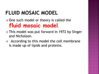  One such model or theory is called the
fluid mosaic model.
 This model was put forward in 1972 by Singer
and Nicholson.
 According to this model the cell membrane
is made up of lipids and proteins.
 