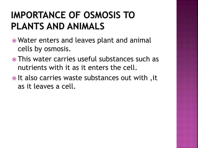 Ppt Cell Structure And Functions 1 Pptx