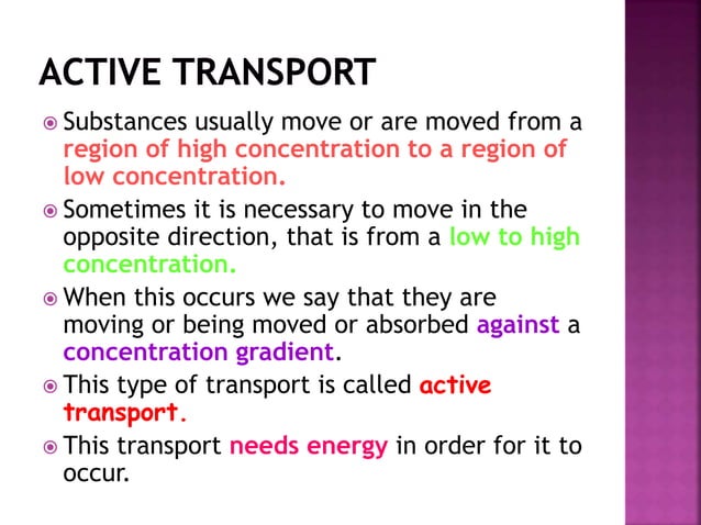 Ppt Cell Structure And Functions 1 Pptx