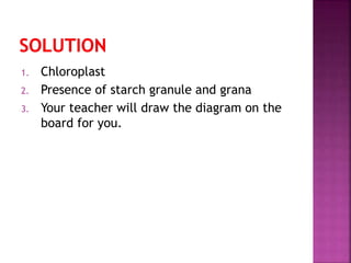 1. Chloroplast
2. Presence of starch granule and grana
3. Your teacher will draw the diagram on the
board for you.
 