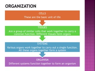 ORGANISM
Different systems function together to form an organism
SYSTEMS
Various organs work together to carry out a single function.
All these organs together form a system
TISSUES
Are a group of similar cells that work together to carry a
common function. Different tissues form organs
CELLS
These are the basic unit of life
 