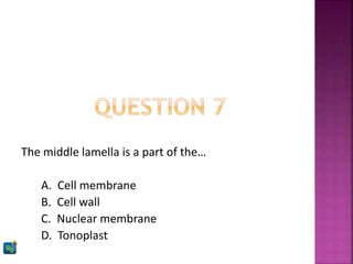 The middle lamella is a part of the…
A. Cell membrane
B. Cell wall
C. Nuclear membrane
D. Tonoplast
 