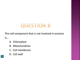 The cell component that is not involved in osmosis
is…
A. Chloroplast
B. Mitochondrion
C. Cell membrane
D. Cell wall
 
