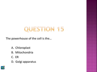 The powerhouse of the cell is the…
A. Chloroplast
B. Mitochondria
C. ER
D. Golgi apparatus
 