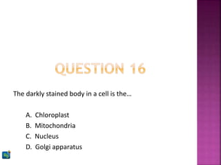 The darkly stained body in a cell is the…
A. Chloroplast
B. Mitochondria
C. Nucleus
D. Golgi apparatus
 